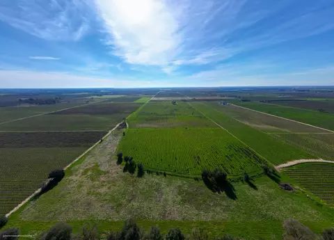 2491 W Peltier Rd, Lodi, CA 95242 photo 20