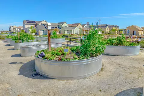 View/Area - 2248 Cannery Loop, Davis, CA 95616 photo 5 of 6