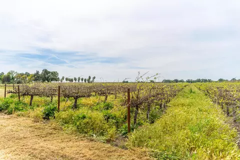17133 E Gawne Rd, Stockton, CA 95215 photo 33