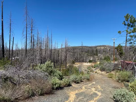 1465 Bald Rock Rd, Berry Creek, CA 95916