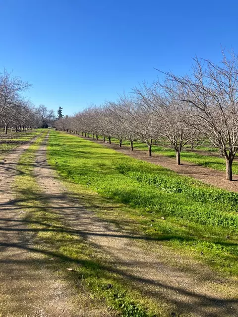 1935 Warnock Way, Durham, CA 95938