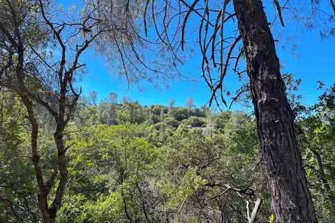 6652 Pappalardo, Murphys, CA 95247 photo 13