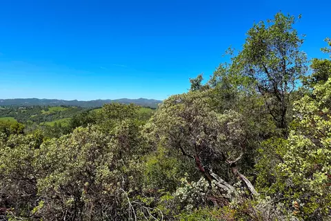 6652 Pappalardo, Murphys, CA 95247 photo 17