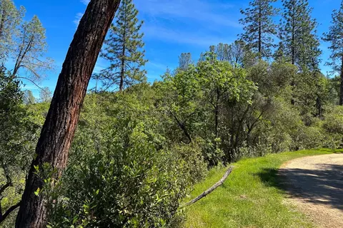 6652 Pappalardo, Murphys, CA 95247 photo 5
