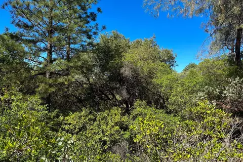 6652 Pappalardo, Murphys, CA 95247 photo 14