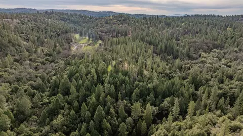 View/Area - 15891 Shake Ridge Rd, Sutter Creek, CA 95685 photo 6 of 8