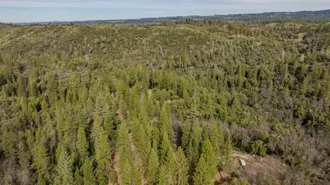 View/Area - 15891 Shake Ridge Rd, Sutter Creek, CA 95685 photo 8 of 8