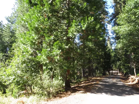 172 Sylvan Rd, Colfax, CA 95713 photo 12