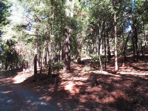 172 Sylvan Rd, Colfax, CA 95713 photo 8