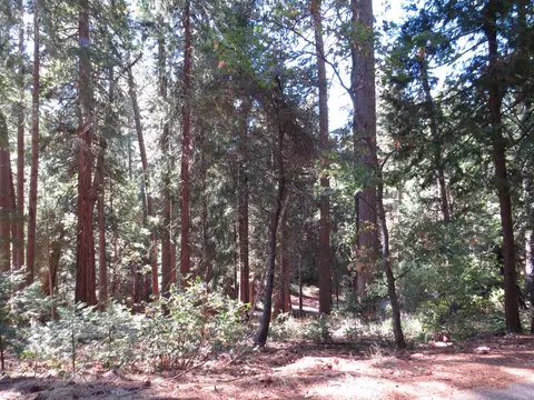 172 Sylvan Rd, Colfax, CA 95713 photo 14