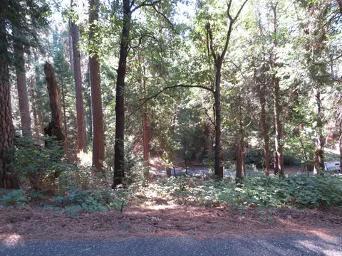 172 Sylvan Rd, Colfax, CA 95713 photo 17