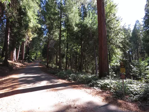 172 Sylvan Rd, Colfax, CA 95713 photo 19