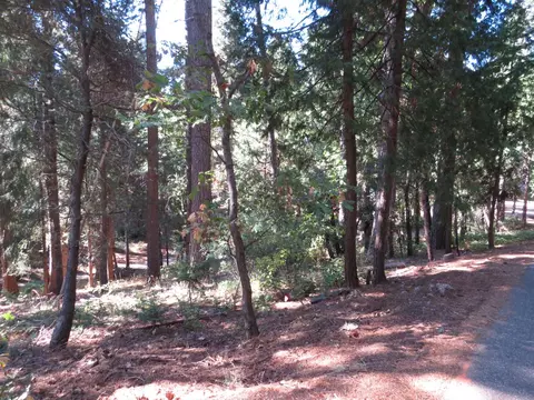 172 Sylvan Rd, Colfax, CA 95713 photo 15