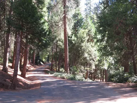 172 Sylvan Rd, Colfax, CA 95713 photo 5