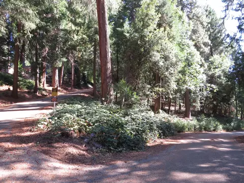 172 Sylvan Rd, Colfax, CA 95713 photo 6