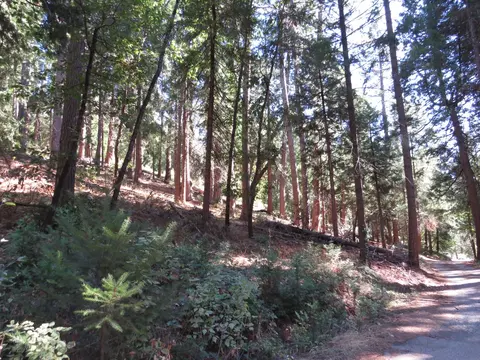 172 Sylvan Rd, Colfax, CA 95713 photo 3