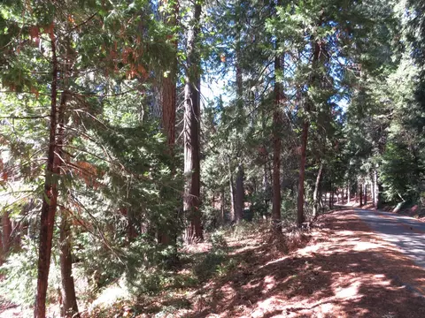 172 Sylvan Rd, Colfax, CA 95713 photo 13