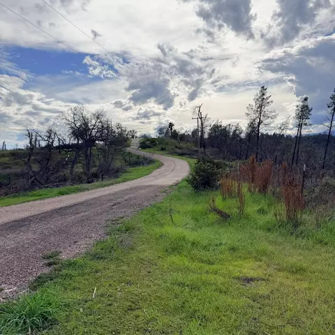 15782 Stagecoach Rd, Corning, CA 96021 photo 4