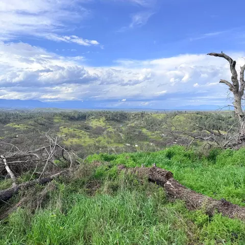 15782 Stagecoach Rd, Corning, CA 96021 photo 10