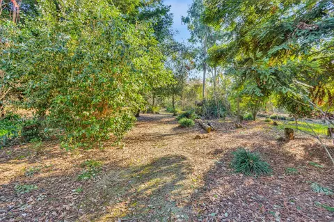 11909 Giusti Rd, Herald, CA 95638 photo 34