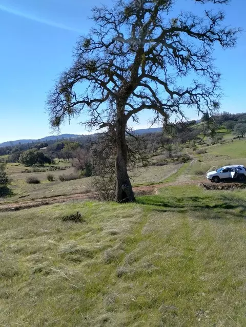 24075 Clayton Rd, Grass Valley, CA 95949 photo 17