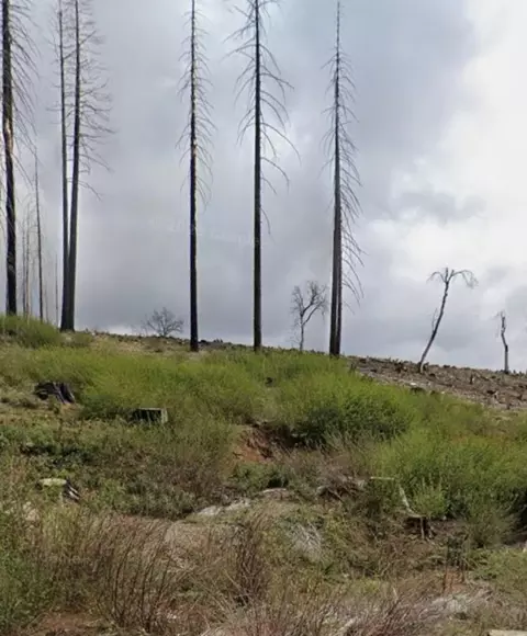7450 Winding Way, Grizzly Flats, CA 95636