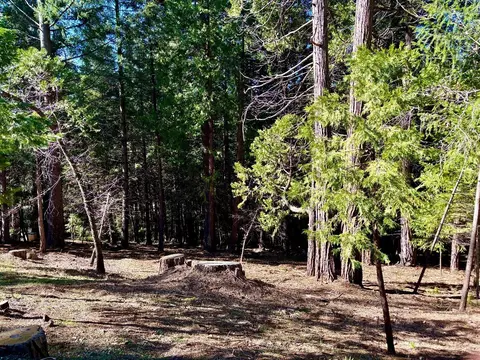 0 Park Woods Dr, Pollock Pines, CA 95726