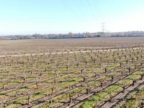 14248 E Peltier Rd, Acampo, CA 95220 photo 18