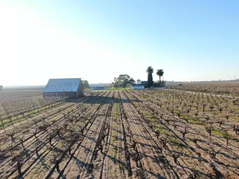 14248 E Peltier Rd, Acampo, CA 95220 photo 27