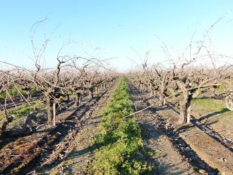 14248 E Peltier Rd, Acampo, CA 95220 photo 20