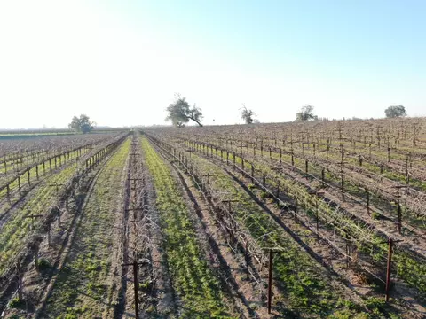 14248 E Peltier Rd, Acampo, CA 95220 photo 23