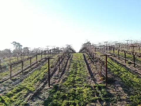 14248 E Peltier Rd, Acampo, CA 95220 photo 22