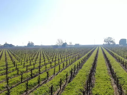 Other - 3587 W Sargent Rd, Lodi, CA 95242 photo 2 of 4