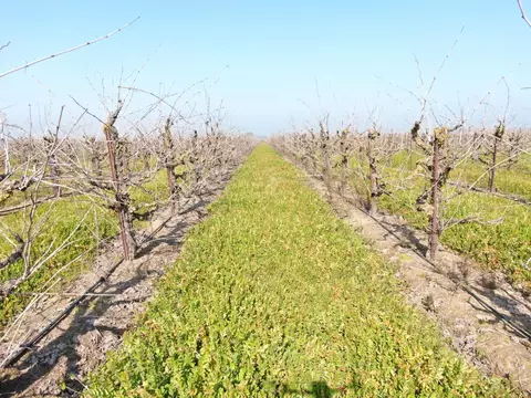 Other - 3587 W Sargent Rd, Lodi, CA 95242 photo 3 of 4