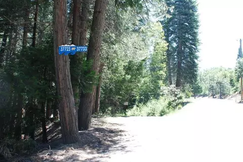 0 Kearsarge Mill Rd, Alta, CA 95715 photo 4