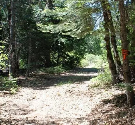 0 Kearsarge Mill Rd, Alta, CA 95715 photo 3