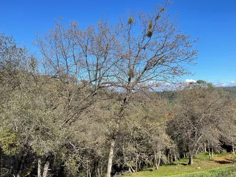 5035 Eagles Nest, Auburn, CA 95603 photo 2