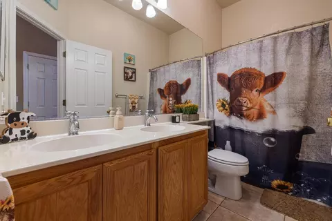 Bath - 3012 Degas Ln, Modesto, CA 95355 photo 4 of 4