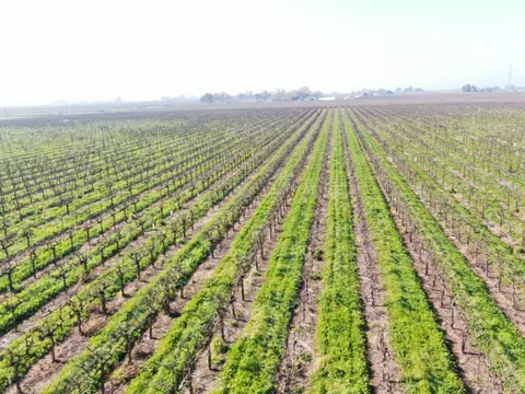 3409 W Woodbridge Rd, Lodi, CA 95242