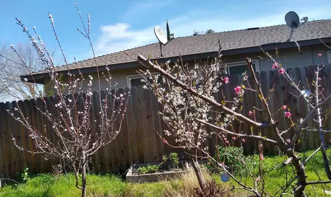 2005 E Marshall, Turlock, CA 95380 photo 21