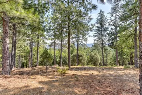 6827 Gray Ct, Foresthill, CA 95631 photo 33