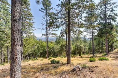 6827 Gray Ct, Foresthill, CA 95631 photo 28