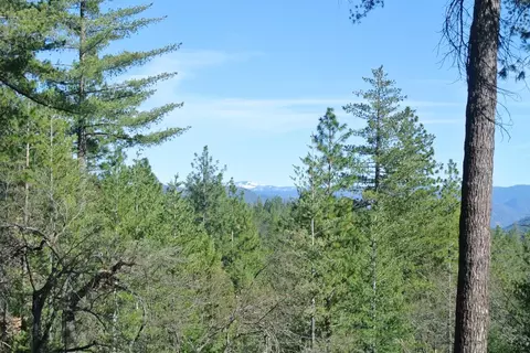 6827 Gray Ct, Foresthill, CA 95631 photo 41