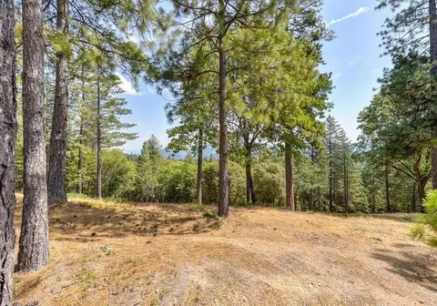 6827 Gray Ct, Foresthill, CA 95631 photo 34