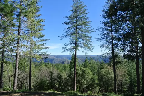6827 Gray Ct, Foresthill, CA 95631 photo 32