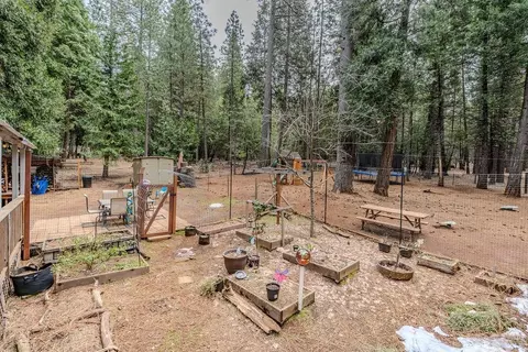 25150 Overland Dr, Volcano, CA 95689 photo 37
