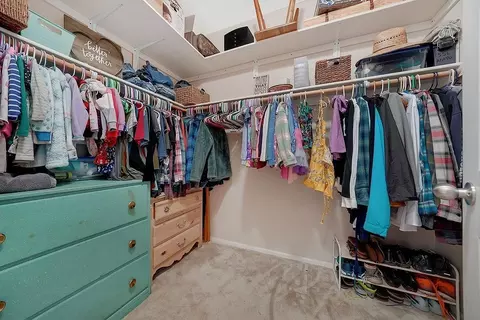 25150 Overland Dr, Volcano, CA 95689 photo 34