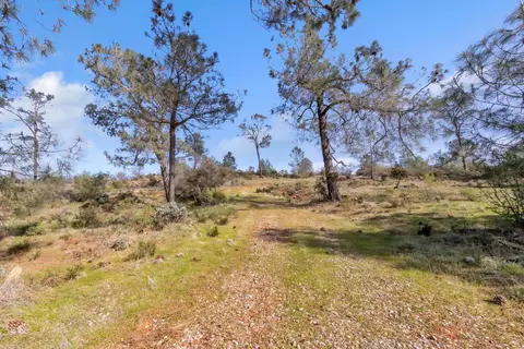 4446 Fremonts Loop, Rescue, CA 95672 photo 45