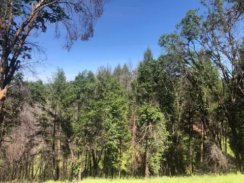 21602 Oxnard Ct, Grass Valley, CA 95949 photo 7