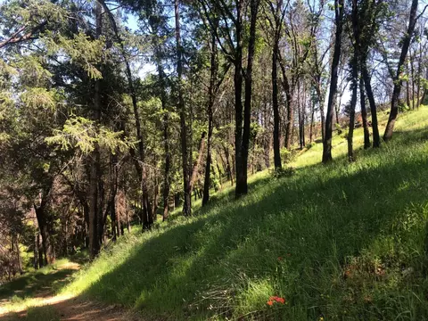 21602 Oxnard Ct, Grass Valley, CA 95949 photo 9